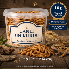 KOÇLAR Canlı Yem | Un Kurdu | Sürüngenler İçin | 10 Gr Yaklaşık 100 Ad.