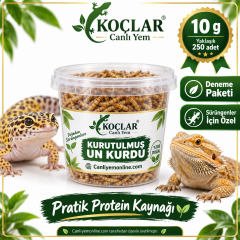 KOÇLAR Sürüngenler İçin Kurutulmuş Yem Un Kurdu 10 Gr - Yaklaşık 250 Ad.