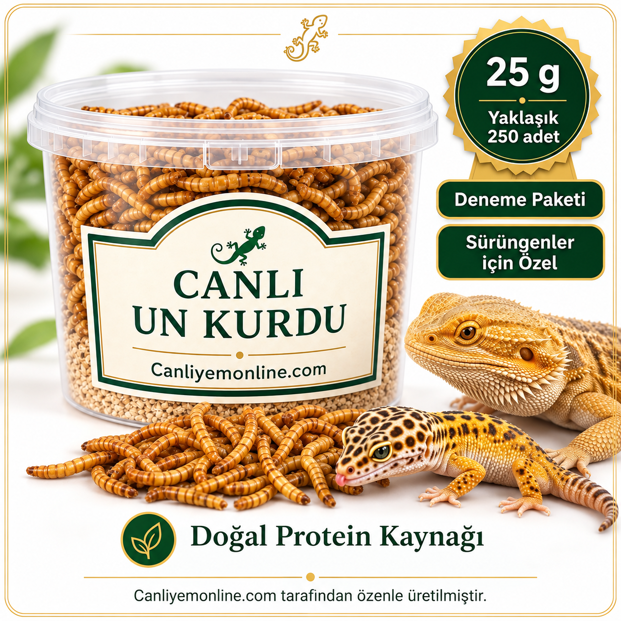KOÇLAR Sürüngenler İçin Canlı Yem Un Kurdu 25 Gr - Yaklaşık 250 Ad.