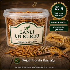 KOÇLAR Canlı Yem | Un Kurdu | Sürüngenler İçin | 25 Gr Yaklaşık 250 Ad.