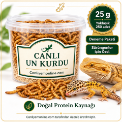 KOÇLAR Sürüngenler İçin Canlı Yem Un Kurdu 25 Gr - Yaklaşık 250 Ad.