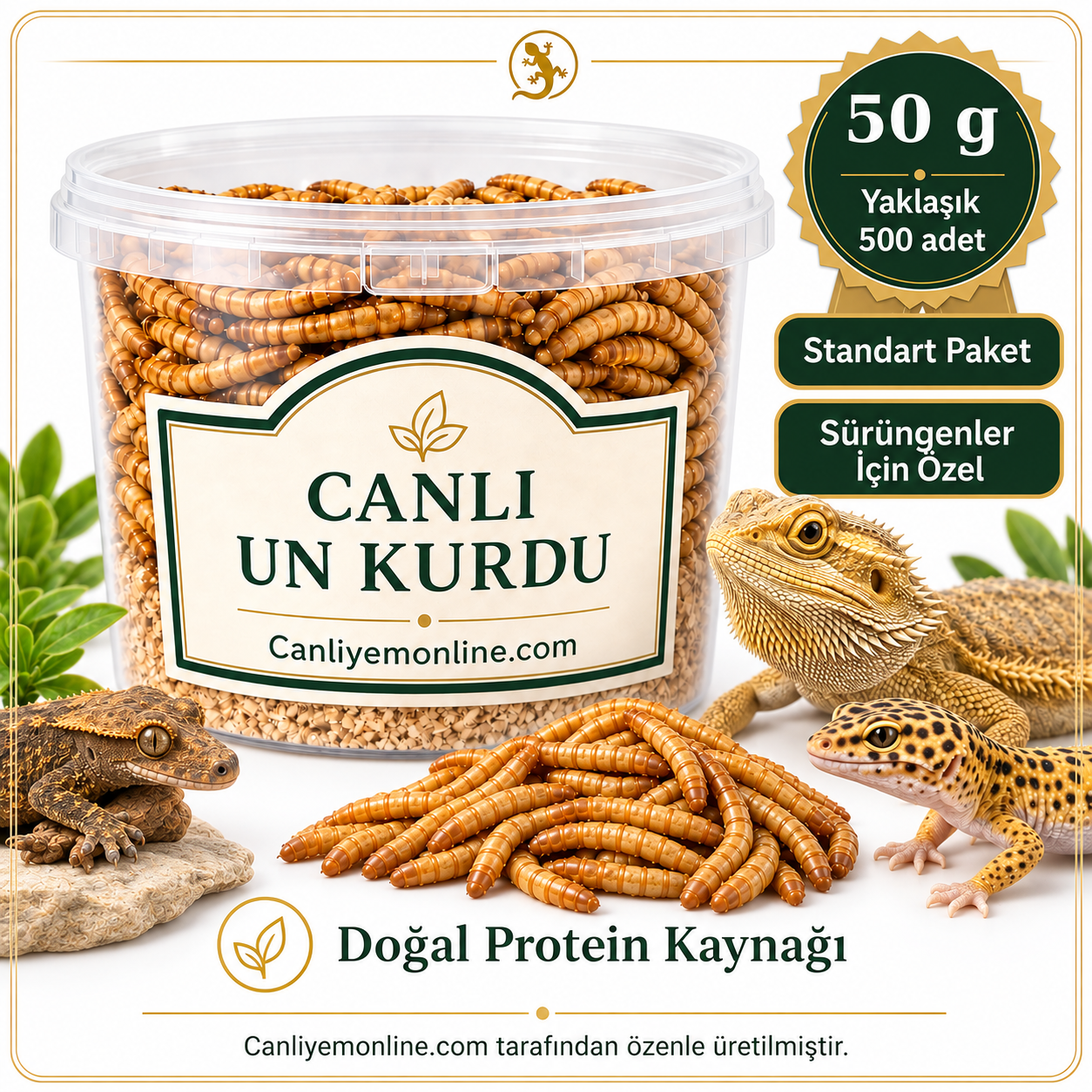 KOÇLAR Sürüngenler İçin Canlı Yem Un Kurdu 50 Gr - Yaklaşık 500 Ad.