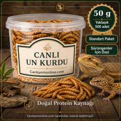 KOÇLAR Canlı Yem | Un Kurdu | Sürüngenler İçin | 50 Gr Yaklaşık 500 Ad.