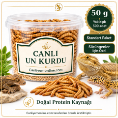 KOÇLAR Sürüngenler İçin Canlı Yem Un Kurdu 50 Gr - Yaklaşık 500 Ad.