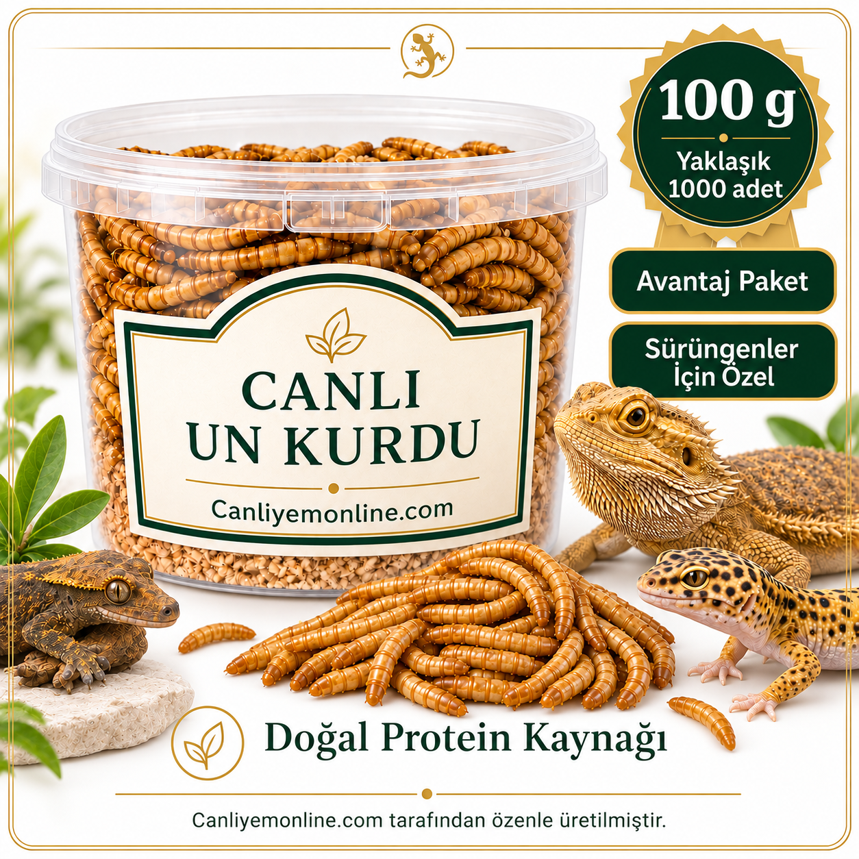 KOÇLAR Sürüngenler İçin Canlı Yem Un Kurdu 100 Gr - Yaklaşık 1000 Ad.