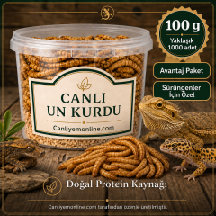 KOÇLAR Canlı Yem | Un Kurdu | Sürüngenler İçin | 100 Gr Yaklaşık 1000 Ad.