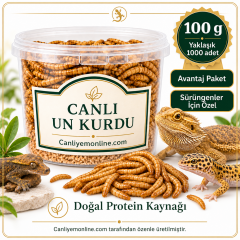 KOÇLAR Sürüngenler İçin Canlı Yem Un Kurdu 100 Gr - Yaklaşık 1000 Ad.