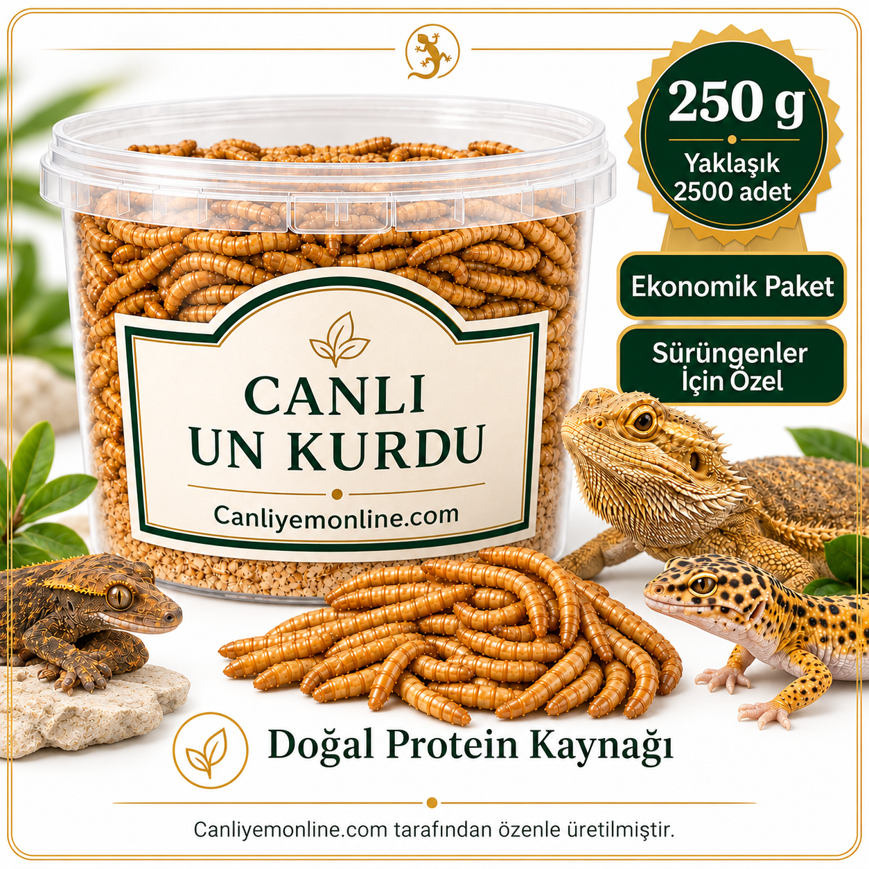 KOÇLAR Sürüngenler İçin Canlı Yem Un Kurdu 250 Gr - Yaklaşık 2500 Ad.