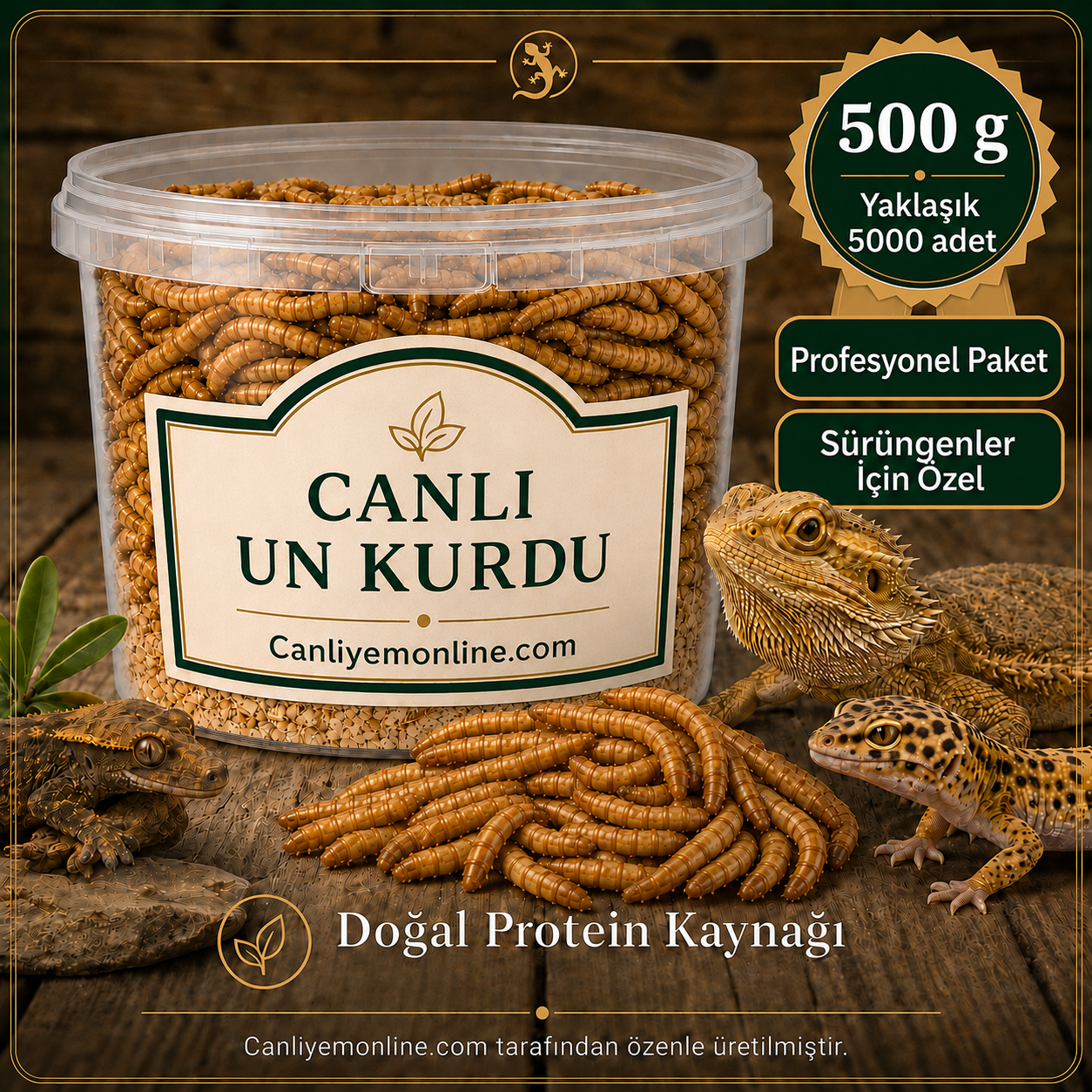 KOÇLAR Canlı Yem | Un Kurdu | Sürüngenler İçin | 500 Gr Yaklaşık 5000 Ad