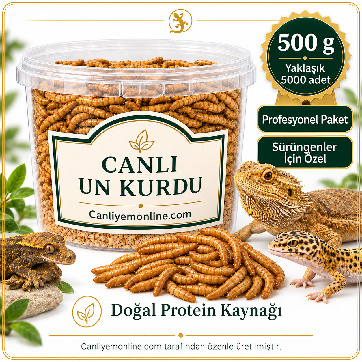 KOÇLAR Sürüngenler İçin Canlı Yem Un Kurdu 500 Gr - Yaklaşık 5000 Ad