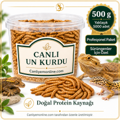 KOÇLAR Sürüngenler İçin Canlı Yem Un Kurdu 500 Gr - Yaklaşık 5000 Ad