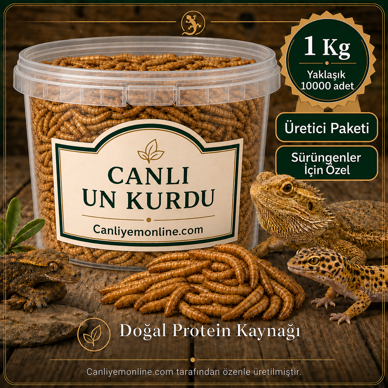 KOÇLAR Canlı Yem | Un Kurdu | Sürüngenler İçin | 1 KG Yaklaşık 10000 Ad.