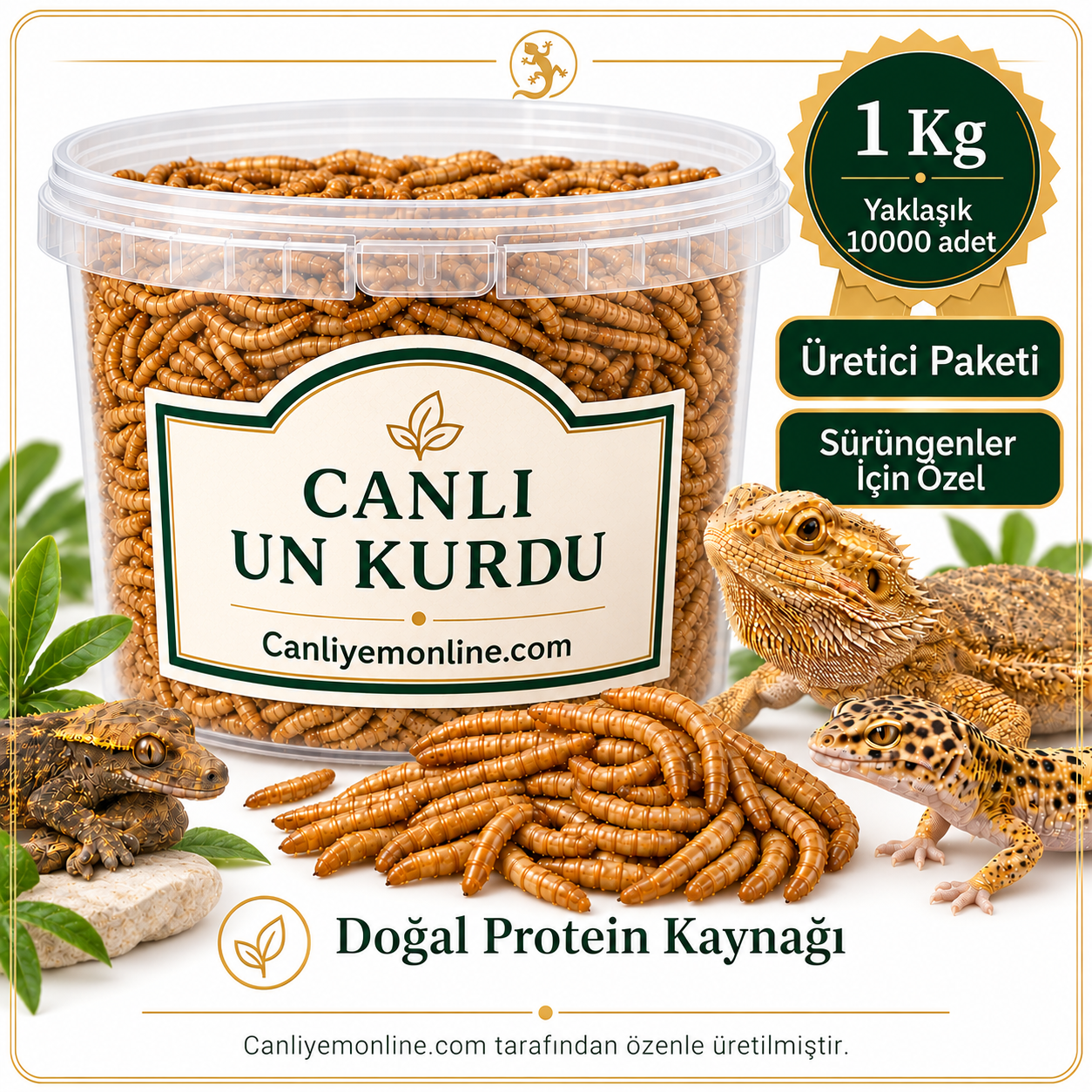 KOÇLAR Sürüngenler İçin Canlı Yem Un Kurdu 1 KG - Yaklaşık 10000 Ad