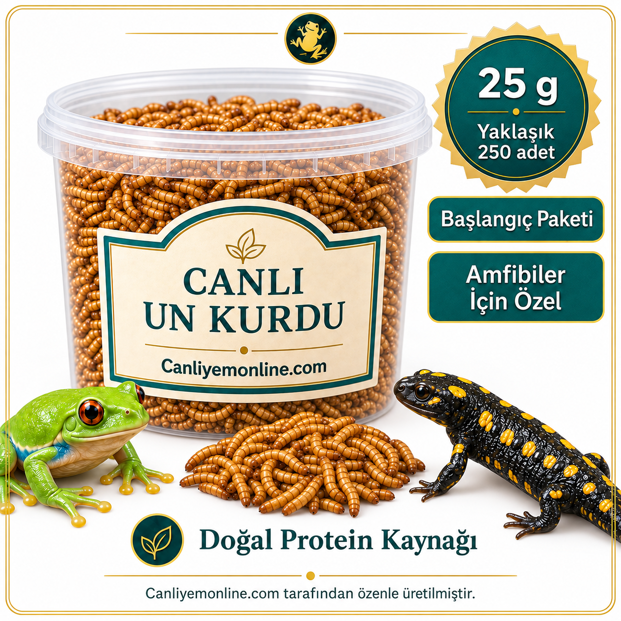 KOÇLAR Amfibiler İçin Canlı Yem Un Kurdu 25 Gr - Yaklaşık 250 Ad
