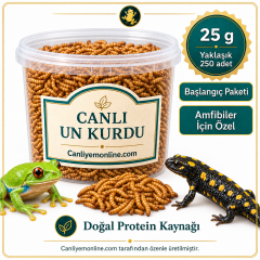 KOÇLAR Amfibiler İçin Canlı Yem Un Kurdu 25 Gr - Yaklaşık 250 Ad
