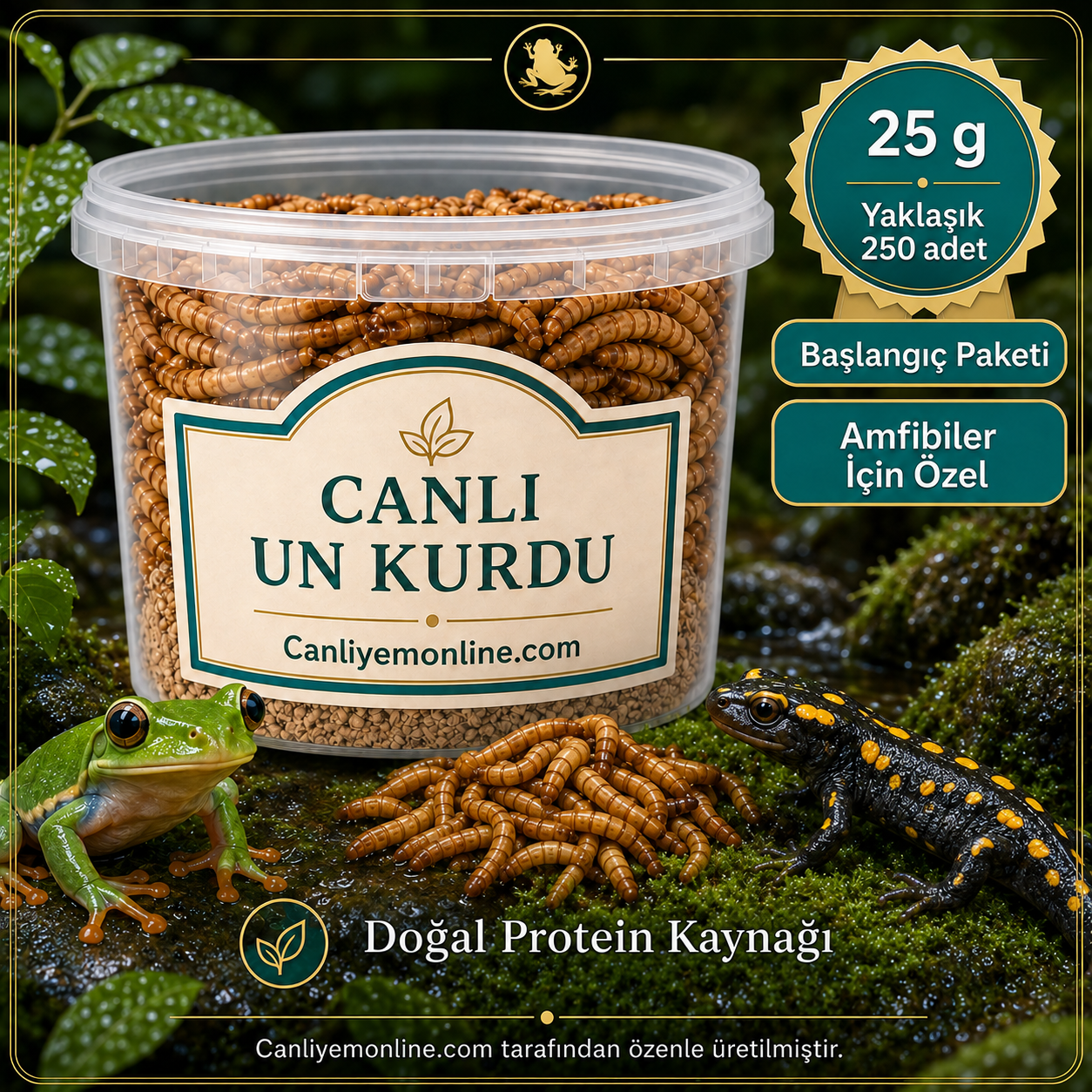 KOÇLAR Canlı Yem | Un Kurdu | Amfibiler İçin | 25 Gr Yaklaşık 250 Ad.