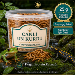 KOÇLAR Canlı Yem | Un Kurdu | Amfibiler İçin | 25 Gr Yaklaşık 250 Ad.