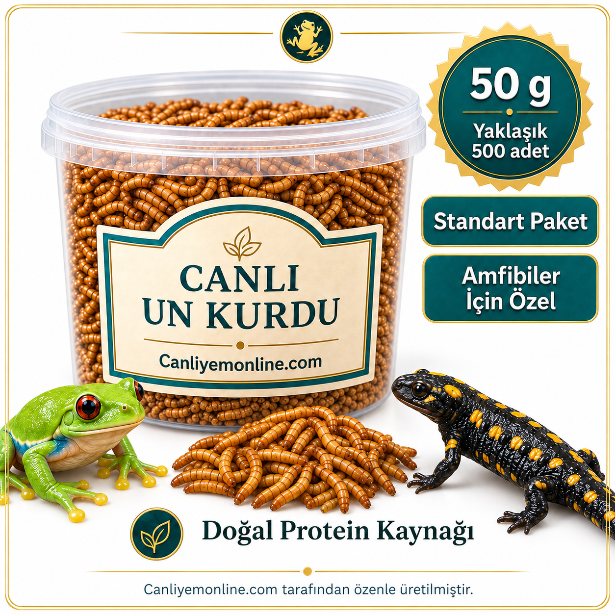 KOÇLAR Amfibiler İçin Canlı Yem Un Kurdu 50 Gr - Yaklaşık 500 Ad.
