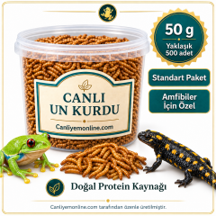 KOÇLAR Amfibiler İçin Canlı Yem Un Kurdu 50 Gr - Yaklaşık 500 Ad.