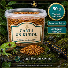 KOÇLAR Canlı Yem | Un Kurdu | Amfibiler İçin | 50 Gr Yaklaşık 500 Ad.