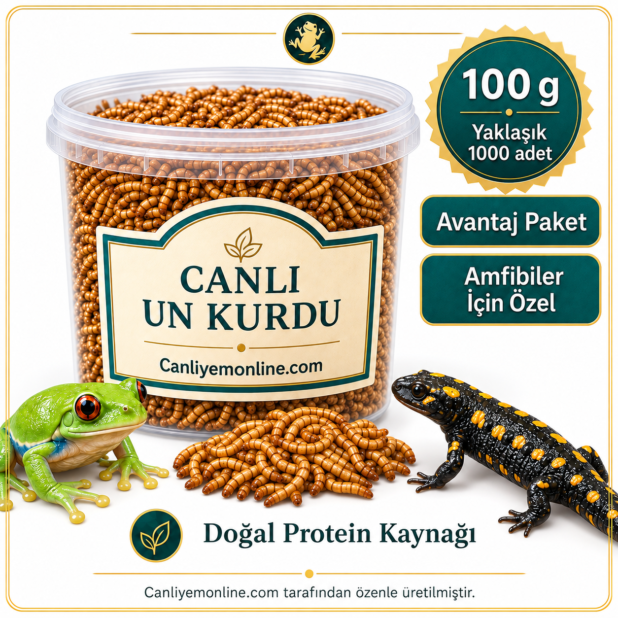 KOÇLAR Amfibiler İçin Canlı Yem Un Kurdu 100 Gr - Yaklaşık 1000 Ad