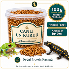KOÇLAR Amfibiler İçin Canlı Yem Un Kurdu 100 Gr - Yaklaşık 1000 Ad
