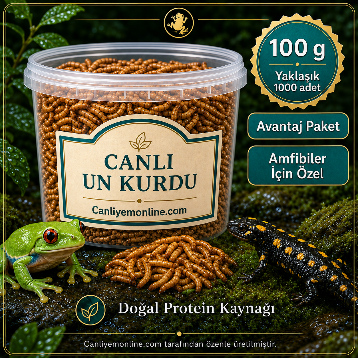 KOÇLAR Canlı Yem | Un Kurdu | Amfibiler İçin | 100 Gr Yaklaşık 1000 Ad.