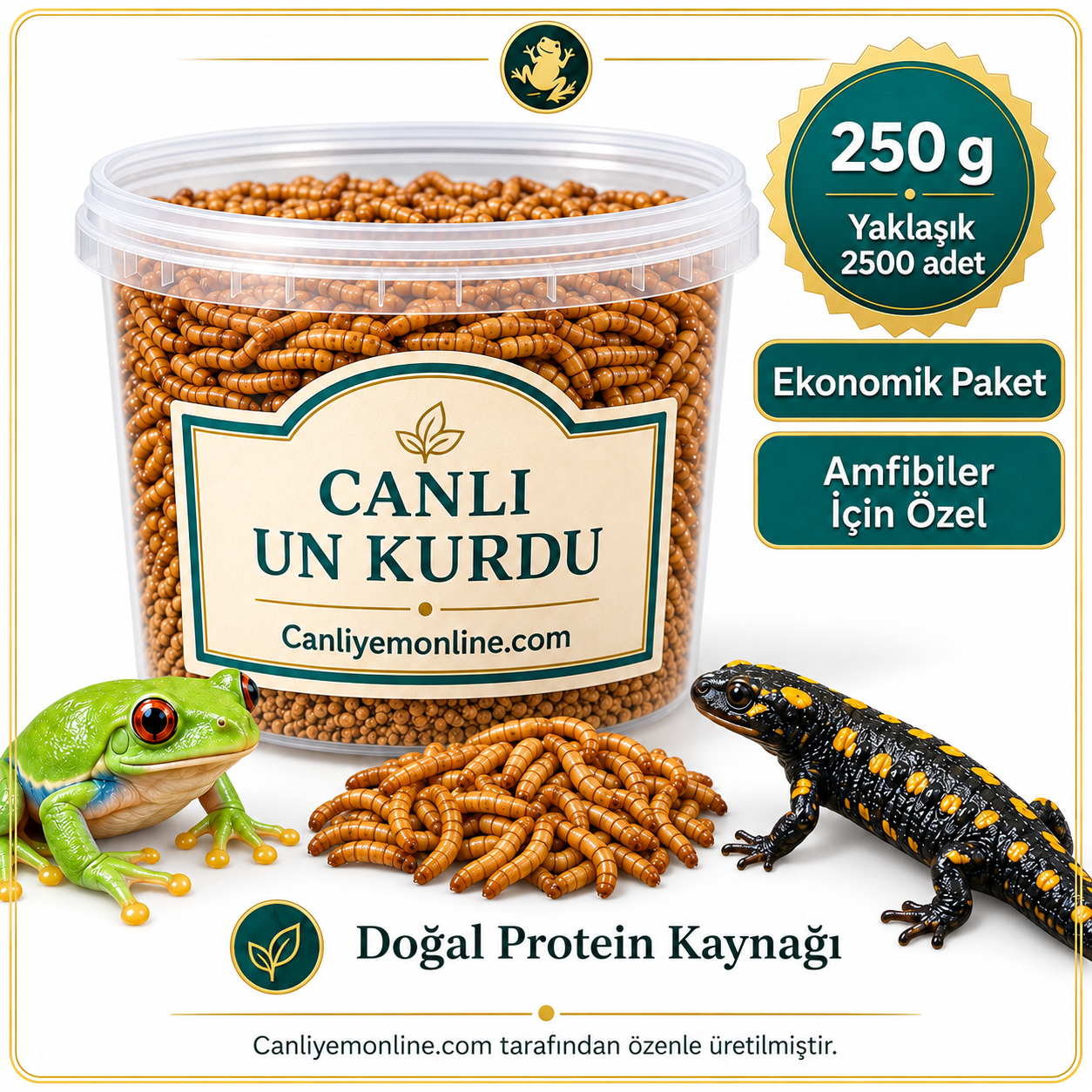 KOÇLAR Amfibiler İçin Canlı Yem Un Kurdu 250 Gr - Yaklaşık 2500 Ad