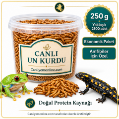 KOÇLAR Amfibiler İçin Canlı Yem Un Kurdu 250 Gr - Yaklaşık 2500 Ad