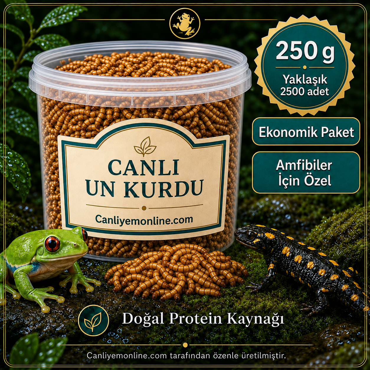 KOÇLAR Canlı Yem | Un Kurdu | Amfibiler İçin | 250 Gr Yaklaşık 2500 Ad.