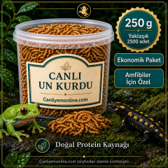 KOÇLAR Canlı Yem | Un Kurdu | Amfibiler İçin | 250 Gr Yaklaşık 2500 Ad.