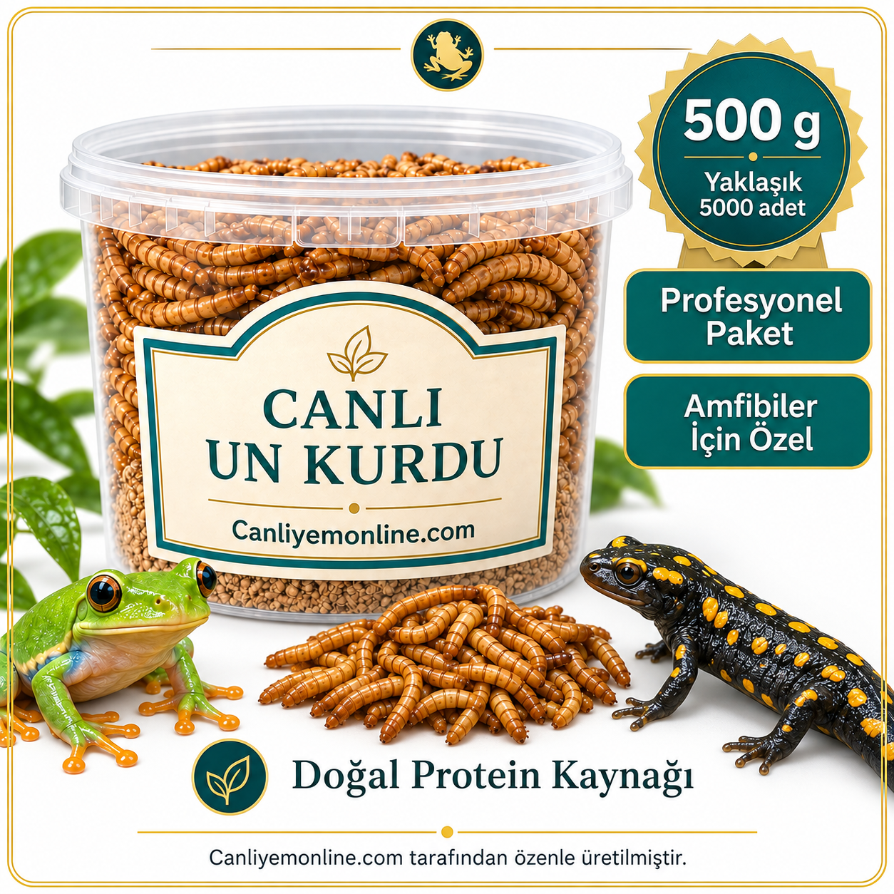 KOÇLAR Amfibiler İçin Canlı Yem Un Kurdu 500 Gr - Yaklaşık 5000 Ad