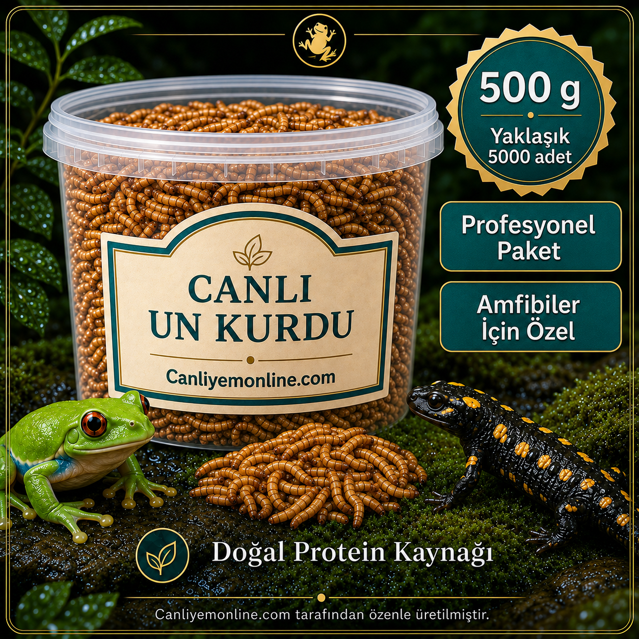 KOÇLAR Canlı Yem | Un Kurdu | Amfibiler İçin | 500 Gr Yaklaşık 5000 Ad.