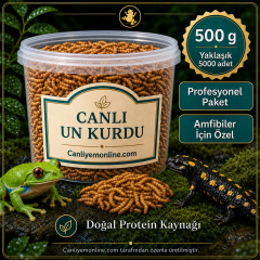 KOÇLAR Canlı Yem | Un Kurdu | Amfibiler İçin | 500 Gr Yaklaşık 5000 Ad.