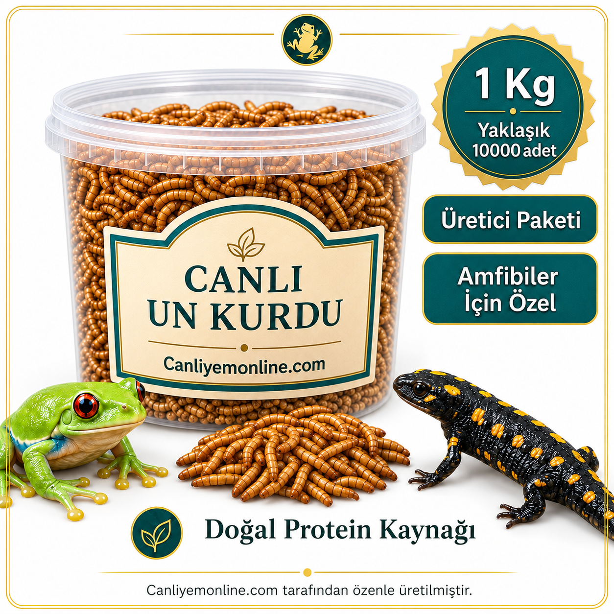 KOÇLAR Amfibiler İçin Canlı Yem Un Kurdu 1 KG Yaklaşık - 10000 Ad