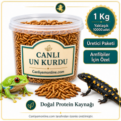 KOÇLAR Amfibiler İçin Canlı Yem Un Kurdu 1 KG Yaklaşık - 10000 Ad