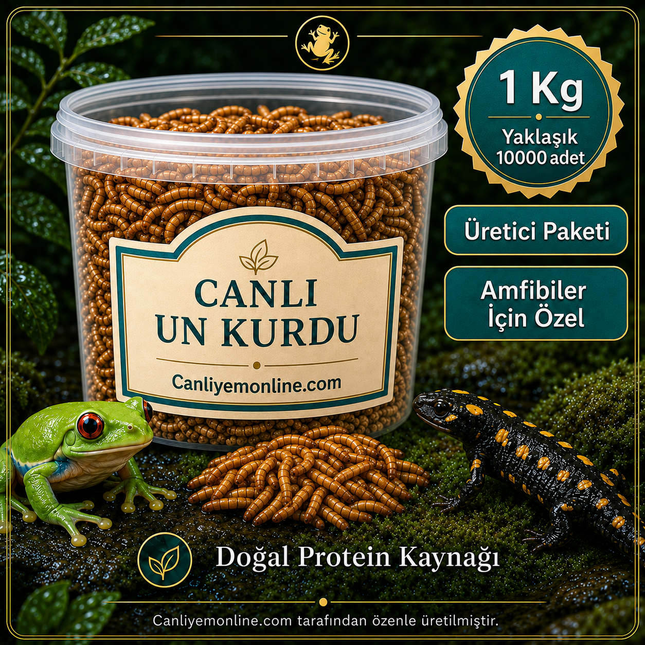 KOÇLAR Canlı Yem | Un Kurdu | Amfibiler İçin | 1 KG Yaklaşık 10000 Ad.