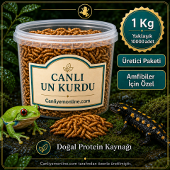 KOÇLAR Canlı Yem | Un Kurdu | Amfibiler İçin | 1 KG Yaklaşık 10000 Ad.