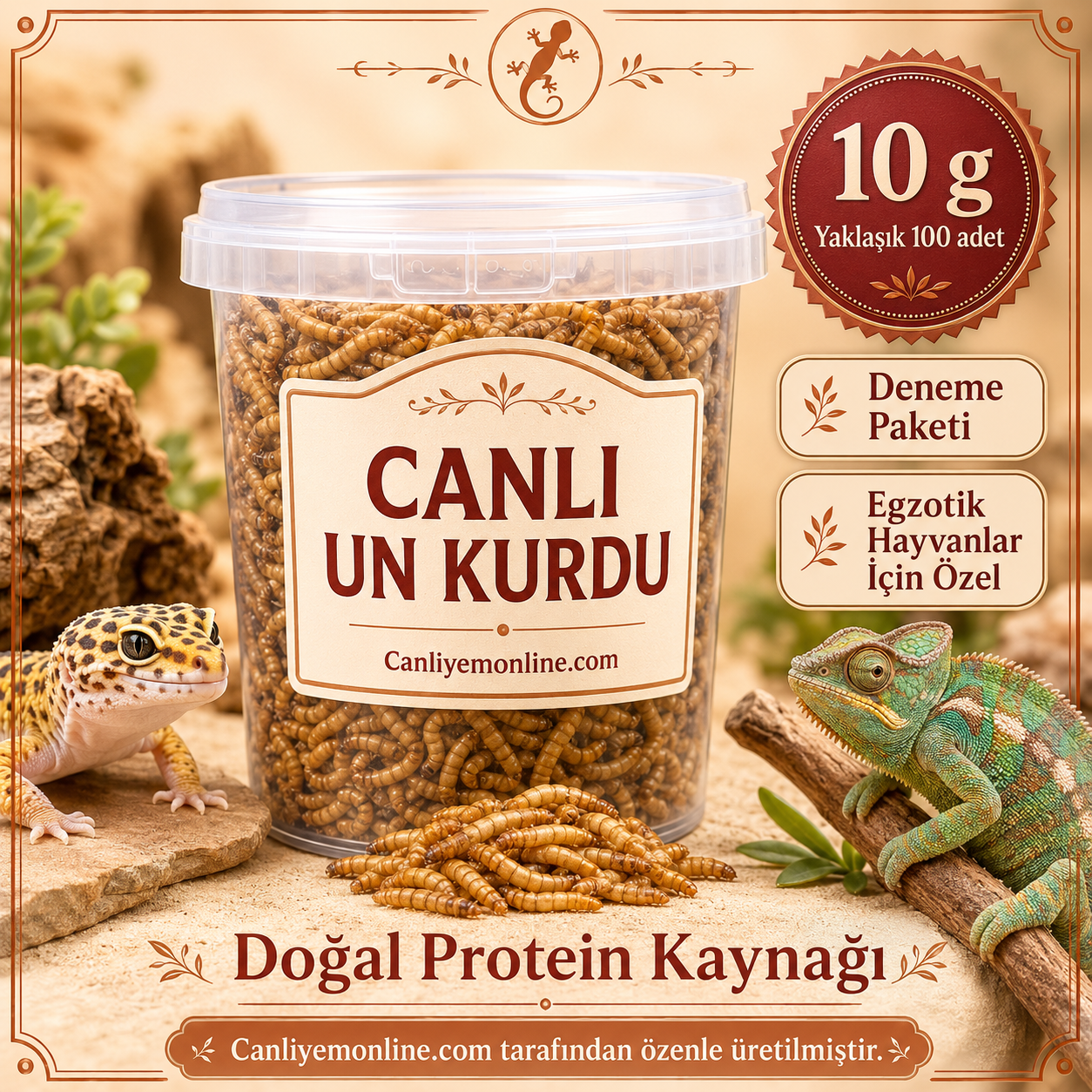 KOÇLAR Canlı Yem | Egzotik Hayvanlar İçin | Un Kurdu | 10 Gr Yaklaşık 100 Ad.