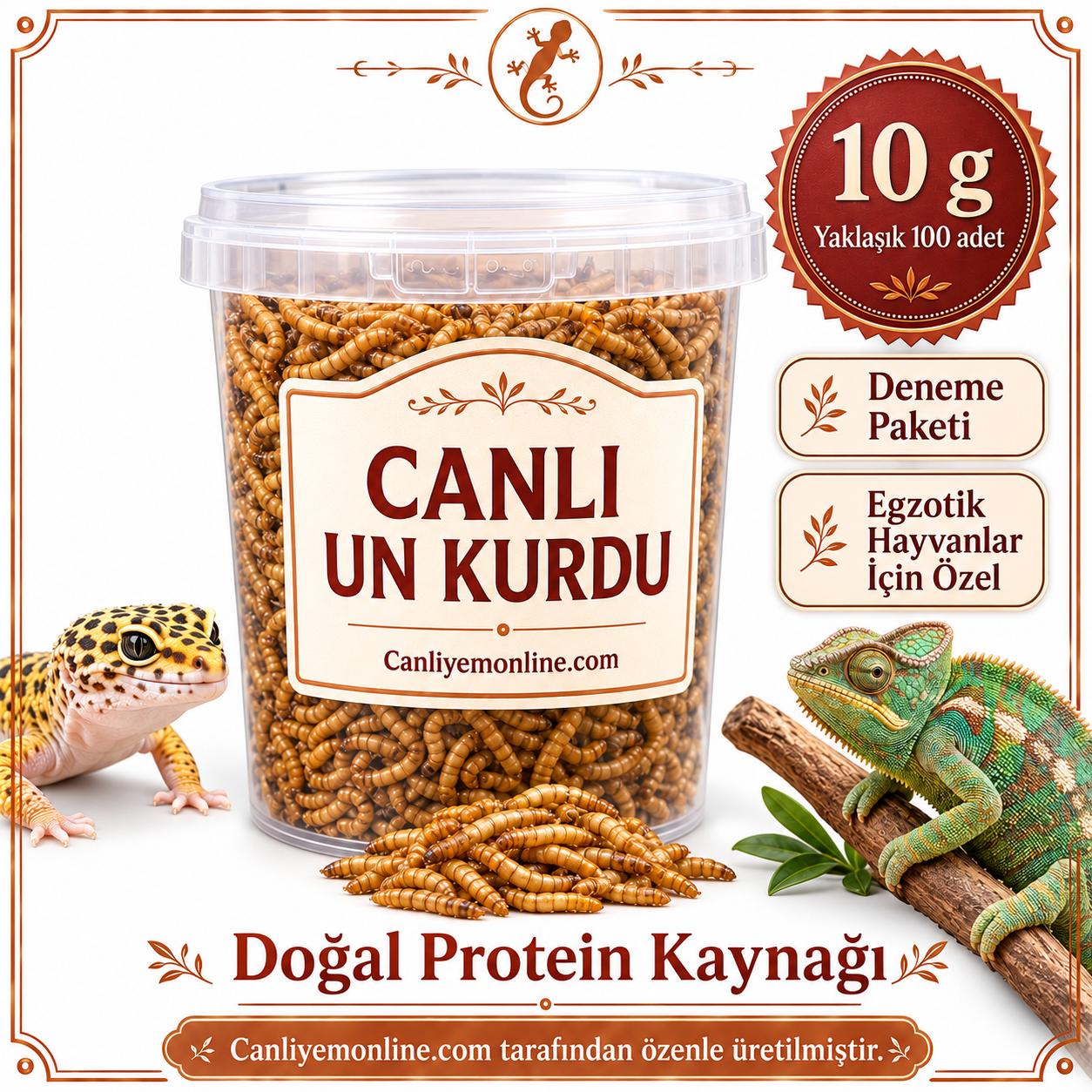 KOÇLAR Egzotik Hayvanlar İçin Canlı Yem Un Kurdu 10 Gr - Yaklaşık 100 Ad.