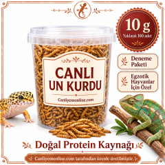 KOÇLAR Egzotik Hayvanlar İçin Canlı Yem Un Kurdu 10 Gr - Yaklaşık 100 Ad.