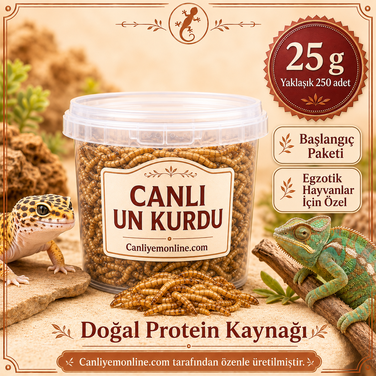 KOÇLAR Canlı Yem | Egzotik Hayvanlar İçin | Un Kurdu | 25 Gr Yaklaşık 250 Ad.