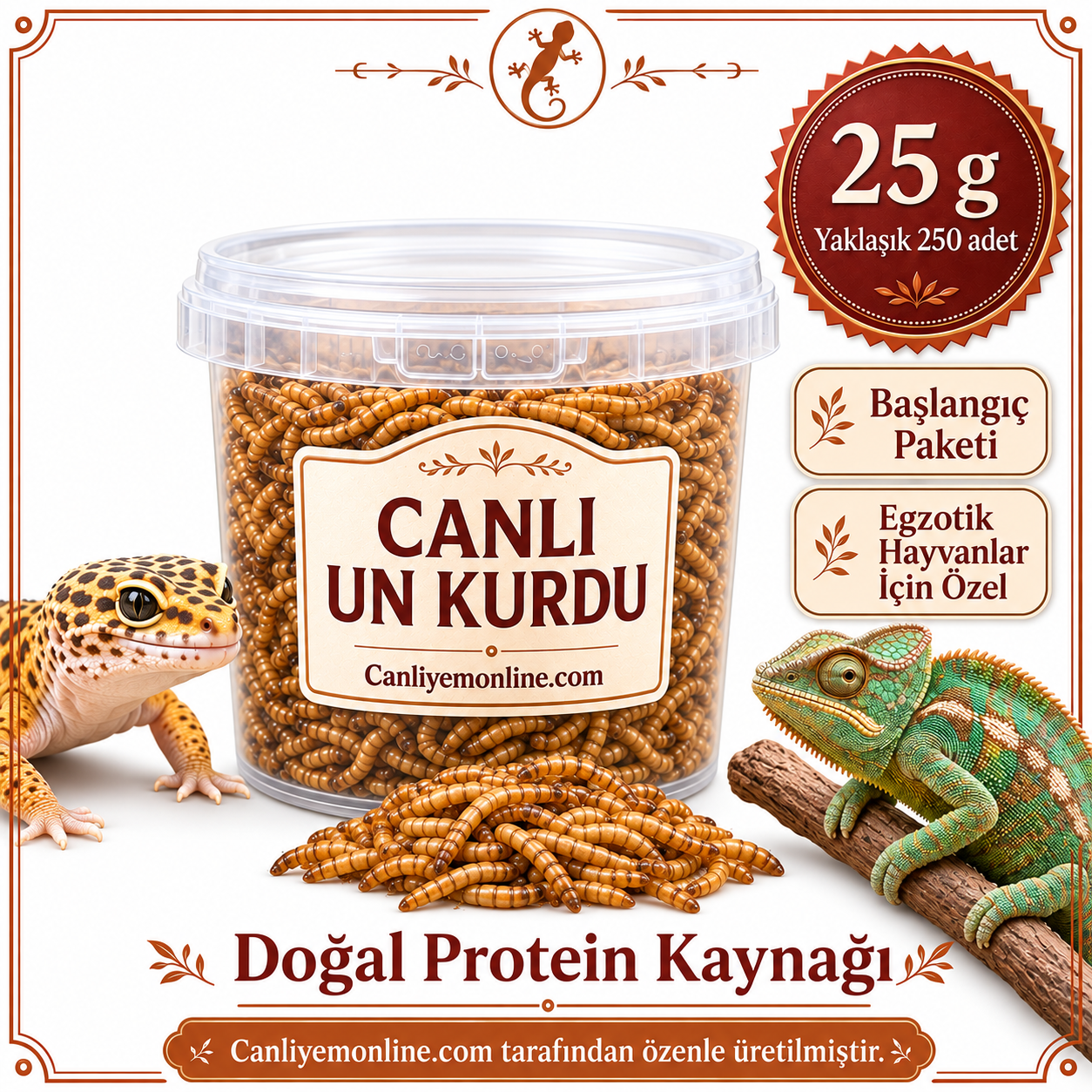 KOÇLAR Egzotik Hayvanlar İçin Canlı Yem Un Kurdu 25 Gr - Yaklaşık 250 Ad.