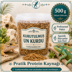 KOÇLAR Kurutulmuş Un Kurdu | Egzotik Hayvanlar İçin | 500 Gr Yaklaşık 12630 Ad.