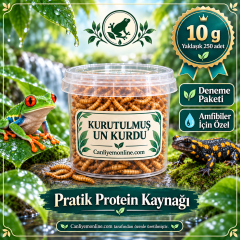 KOÇLAR Amfibiler İçin Kurutulmuş Yem |  10 Gr Yaklaşık 250 Ad.