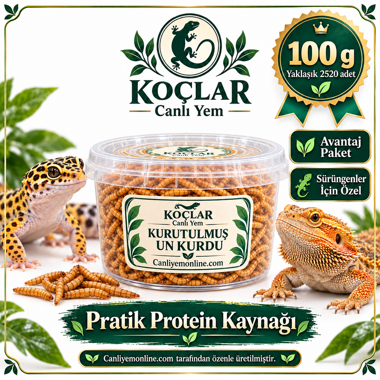 KOÇLAR Amfibiler İçin Kurutulmuş Yem |  100 Gr Yaklaşık 2520 Ad.