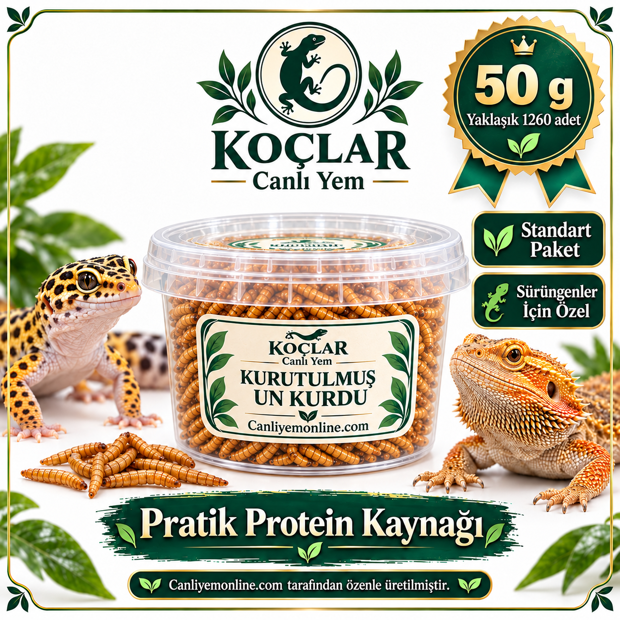 KOÇLAR Sürüngenler İçin Kurutulmuş Yem Un Kurdu 50 Gr - Yaklaşık 1260 Ad