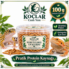 KOÇLAR Sürüngenler İçin Kurutulmuş Yem Un Kurdu 100 Gr - Yaklaşık 2520 Ad