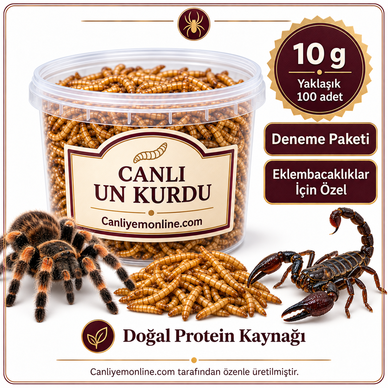 KOÇLAR Eklembacaklılar İçin Canlı Un Kurdu 10 Gr - Yaklaşık 100 Ad