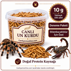 KOÇLAR Eklembacaklılar İçin Canlı Un Kurdu 10 Gr - Yaklaşık 100 Ad
